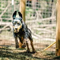 processed/b28a1f63-9fad-4c1d-803a-a1be5f8033b0/facility/f0e5caaa-15d8-436b-93a9-0b6658bacc63