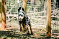 processed/b28a1f63-9fad-4c1d-803a-a1be5f8033b0/facility/f0e5caaa-15d8-436b-93a9-0b6658bacc63