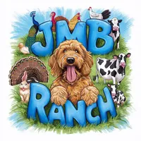 Sold Romeo red collar GD, a male Goldendoodle for sale in Carrollton, GA – Photo 4 of 6