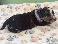 processed/b28a1f63-9fad-4c1d-803a-a1be5f8033b0/listing/36422cae-d2d7-48c0-9c00-92d1b9ffeb14/11dbabc0-a6b6-447c-838b-e0f492fa4834