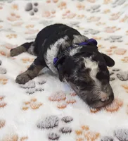 processed/b28a1f63-9fad-4c1d-803a-a1be5f8033b0/listing/36422cae-d2d7-48c0-9c00-92d1b9ffeb14/a6bdf9e9-e3f4-489d-a48f-36cf400a3cea