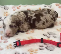 processed/b28a1f63-9fad-4c1d-803a-a1be5f8033b0/listing/86c11735-916d-4bec-90d3-390d33711be1/111d45d1-a3a1-4cf5-9321-ac2202ad84c3