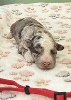 processed/b28a1f63-9fad-4c1d-803a-a1be5f8033b0/listing/86c11735-916d-4bec-90d3-390d33711be1/9ecb7b43-c609-4de7-a4ba-a2136881a114