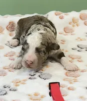 processed/b28a1f63-9fad-4c1d-803a-a1be5f8033b0/listing/86c11735-916d-4bec-90d3-390d33711be1/dd9a1e1c-747b-4401-b562-227907da3113