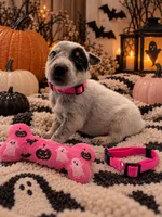 Priscilla - Pink Collar, a female Australian Cattle Dog for sale in Carrollton, GA – 2 of 3