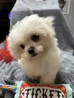 processed/b28bfdbd-eb52-4d13-9bec-5a572cabe769/listing/fba7e6ad-388e-43a9-85f3-489e8db9b824/4186c88f-4756-43a1-abb6-2c785bfbb58b