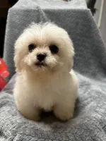 processed/b28bfdbd-eb52-4d13-9bec-5a572cabe769/listing/fba7e6ad-388e-43a9-85f3-489e8db9b824/547b62c8-0507-4cab-adfb-27816827c352