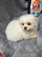 processed/b28bfdbd-eb52-4d13-9bec-5a572cabe769/listing/fba7e6ad-388e-43a9-85f3-489e8db9b824/5bb8f60f-745d-4857-a9af-2d36add99837