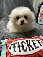 processed/b28bfdbd-eb52-4d13-9bec-5a572cabe769/listing/fba7e6ad-388e-43a9-85f3-489e8db9b824/b3f4d835-36b2-41ee-a1af-b53775b4f81b