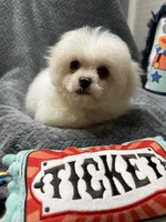 processed/b28bfdbd-eb52-4d13-9bec-5a572cabe769/listing/fba7e6ad-388e-43a9-85f3-489e8db9b824/b6f95cb2-45ae-4434-9c71-bcade6759b8c