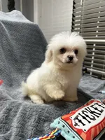 processed/b28bfdbd-eb52-4d13-9bec-5a572cabe769/listing/fba7e6ad-388e-43a9-85f3-489e8db9b824/edc2c78d-a279-46dd-aa0c-285d7fa6d182