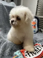 processed/b28bfdbd-eb52-4d13-9bec-5a572cabe769/listing/fba7e6ad-388e-43a9-85f3-489e8db9b824/ef8294bc-3830-486b-a118-0c0361e99023