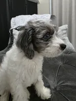 processed/b29bdb53-05f7-42d1-82d2-8cc227d13e56/listing/f8cf3cab-5206-4ac5-a330-37c3eff7f296/23f29089-02bf-407d-85cc-febf06c1dfec