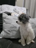 processed/b29bdb53-05f7-42d1-82d2-8cc227d13e56/listing/f8cf3cab-5206-4ac5-a330-37c3eff7f296/3f1b89cf-e95a-449e-a81f-73b6ecbc9de0