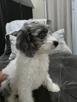 processed/b29bdb53-05f7-42d1-82d2-8cc227d13e56/listing/f8cf3cab-5206-4ac5-a330-37c3eff7f296/6d17dbfc-5f27-4f40-a12d-2f13dea22520