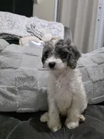 processed/b29bdb53-05f7-42d1-82d2-8cc227d13e56/listing/f8cf3cab-5206-4ac5-a330-37c3eff7f296/7a39c2f4-4a69-4f8a-8762-c96bfecafe32