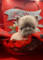 processed/b2a229a9-dbe7-4bdb-919c-77fbbe029ba1/listing/be2c8453-812b-4146-98ef-0e3daf9b8ed0/014af2ac-3930-449c-826f-c50a3ec3ab0f