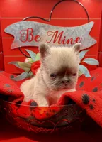 processed/b2a229a9-dbe7-4bdb-919c-77fbbe029ba1/listing/be2c8453-812b-4146-98ef-0e3daf9b8ed0/babf38ca-eba9-4cb9-a219-d66e69bd41c1