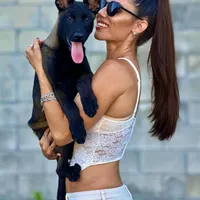 Ralph, a male Belgian Malinois for sale in St. Petersburg, FL – Photo 7 of 7