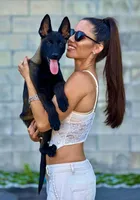 Ralph, a male Belgian Malinois for sale in St. Petersburg, FL – Photo 7 of 7