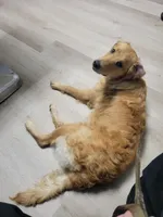 processed/b2ad972f-6fdc-4f2c-ad5a-6c23b1790b6b/facility/1130d0bc-91d9-4522-9150-bf06dc09de60