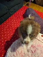 processed/b2b7fddf-fa1a-483b-94c0-b356dd781383/listing/4ae04712-4ea6-43d1-b6c9-b3e576960aee/10c04874-8cb2-46a8-b0d2-862df9fe4041