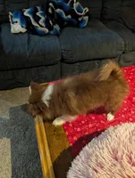 processed/b2b7fddf-fa1a-483b-94c0-b356dd781383/listing/4ae04712-4ea6-43d1-b6c9-b3e576960aee/6548e065-b2a6-453a-ab91-b234db6e4490