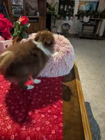 processed/b2b7fddf-fa1a-483b-94c0-b356dd781383/listing/4ae04712-4ea6-43d1-b6c9-b3e576960aee/6a1e13eb-8a10-4b26-a54d-af2a3beeb336