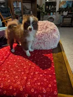 processed/b2b7fddf-fa1a-483b-94c0-b356dd781383/listing/4ae04712-4ea6-43d1-b6c9-b3e576960aee/83929db1-b563-4d4d-99f9-07e284d04c07