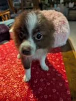 processed/b2b7fddf-fa1a-483b-94c0-b356dd781383/listing/4ae04712-4ea6-43d1-b6c9-b3e576960aee/9d0af4ed-9c3e-4780-80b7-336f359eda39