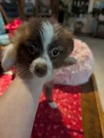 processed/b2b7fddf-fa1a-483b-94c0-b356dd781383/listing/4ae04712-4ea6-43d1-b6c9-b3e576960aee/a7de5b63-1d5d-4c56-bb08-e39c19e06b2b