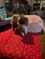 processed/b2b7fddf-fa1a-483b-94c0-b356dd781383/listing/4ae04712-4ea6-43d1-b6c9-b3e576960aee/b433802e-6d23-4fbb-90eb-b6568b3b894b