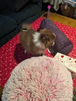 processed/b2b7fddf-fa1a-483b-94c0-b356dd781383/listing/4ae04712-4ea6-43d1-b6c9-b3e576960aee/bcb0a0cb-879e-43d4-8502-fb03e8ababbc