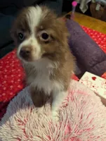 processed/b2b7fddf-fa1a-483b-94c0-b356dd781383/listing/4ae04712-4ea6-43d1-b6c9-b3e576960aee/cb65ba0a-c34e-4381-91fe-9461654e5b8d