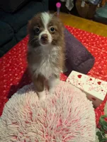 processed/b2b7fddf-fa1a-483b-94c0-b356dd781383/listing/4ae04712-4ea6-43d1-b6c9-b3e576960aee/ff838824-9eaa-4ba6-931e-6e02a2f8b512