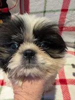 processed/b2b7fddf-fa1a-483b-94c0-b356dd781383/listing/6090add7-4f61-4b69-8b65-0c8b72cd4b62/0ff292bc-ea40-4d6d-96c9-e4994acf44d0