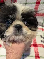 processed/b2b7fddf-fa1a-483b-94c0-b356dd781383/listing/6090add7-4f61-4b69-8b65-0c8b72cd4b62/6756bfe5-2b77-4fee-818b-6f2287506935