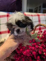 processed/b2b7fddf-fa1a-483b-94c0-b356dd781383/listing/6090add7-4f61-4b69-8b65-0c8b72cd4b62/6b73d920-01cd-48f4-aa5b-44b8f924a613