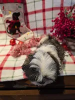 processed/b2b7fddf-fa1a-483b-94c0-b356dd781383/listing/6090add7-4f61-4b69-8b65-0c8b72cd4b62/81c7351e-2d18-46e2-89e4-d87763fe6d5f