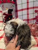 processed/b2b7fddf-fa1a-483b-94c0-b356dd781383/listing/6090add7-4f61-4b69-8b65-0c8b72cd4b62/abeb670f-43d1-4599-8f21-9d9c8c147319