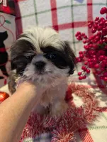 processed/b2b7fddf-fa1a-483b-94c0-b356dd781383/listing/6090add7-4f61-4b69-8b65-0c8b72cd4b62/c1940359-3a4f-45f5-955c-619ab44ad549