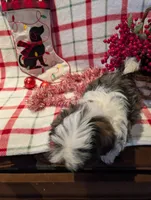 processed/b2b7fddf-fa1a-483b-94c0-b356dd781383/listing/6090add7-4f61-4b69-8b65-0c8b72cd4b62/dafa8dc7-8a15-4f7d-a84c-4ef1f96b3ba1