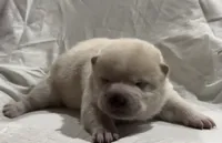 processed/b2baf614-e2e1-42c6-b1e6-75948f62d409/listing/dc85690c-b397-4029-90dd-764a7a011953/1d177d6d-bb90-4e60-af98-ebcde0a66500