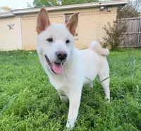 processed/b2baf614-e2e1-42c6-b1e6-75948f62d409/listing/dc85690c-b397-4029-90dd-764a7a011953/4fd3dcaf-7215-4b0d-822d-186fc13d27f4