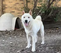 processed/b2baf614-e2e1-42c6-b1e6-75948f62d409/listing/dc85690c-b397-4029-90dd-764a7a011953/78dcf12f-1d79-4c11-93ef-dcadedf9e295