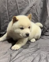 processed/b2baf614-e2e1-42c6-b1e6-75948f62d409/listing/dc85690c-b397-4029-90dd-764a7a011953/8446400f-706e-417d-a908-21c758028af8