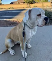 processed/b2bfccd6-91fc-4f33-9522-29e081e40a6a/listing/195973c1-cc9f-4529-bcd4-15de7ddd2922/8182dcb9-8a8a-4bcf-aae8-0d2c8350708d