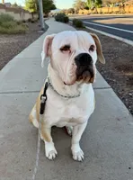 processed/b2bfccd6-91fc-4f33-9522-29e081e40a6a/listing/195973c1-cc9f-4529-bcd4-15de7ddd2922/bbb15c95-c319-4901-9d10-5e738b8faab2