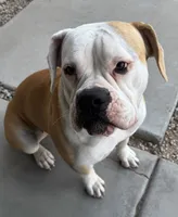 processed/b2bfccd6-91fc-4f33-9522-29e081e40a6a/listing/195973c1-cc9f-4529-bcd4-15de7ddd2922/f5e12993-9f47-4de5-9fd1-92213a3be0e7