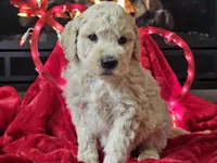 processed/b2c8a5ab-a85d-4975-92e4-a70215ce169d/listing/20d01a4f-08df-4ae7-956c-57f52e1ab5a2/26126b49-ceff-48a7-ad6d-dad017d563a9